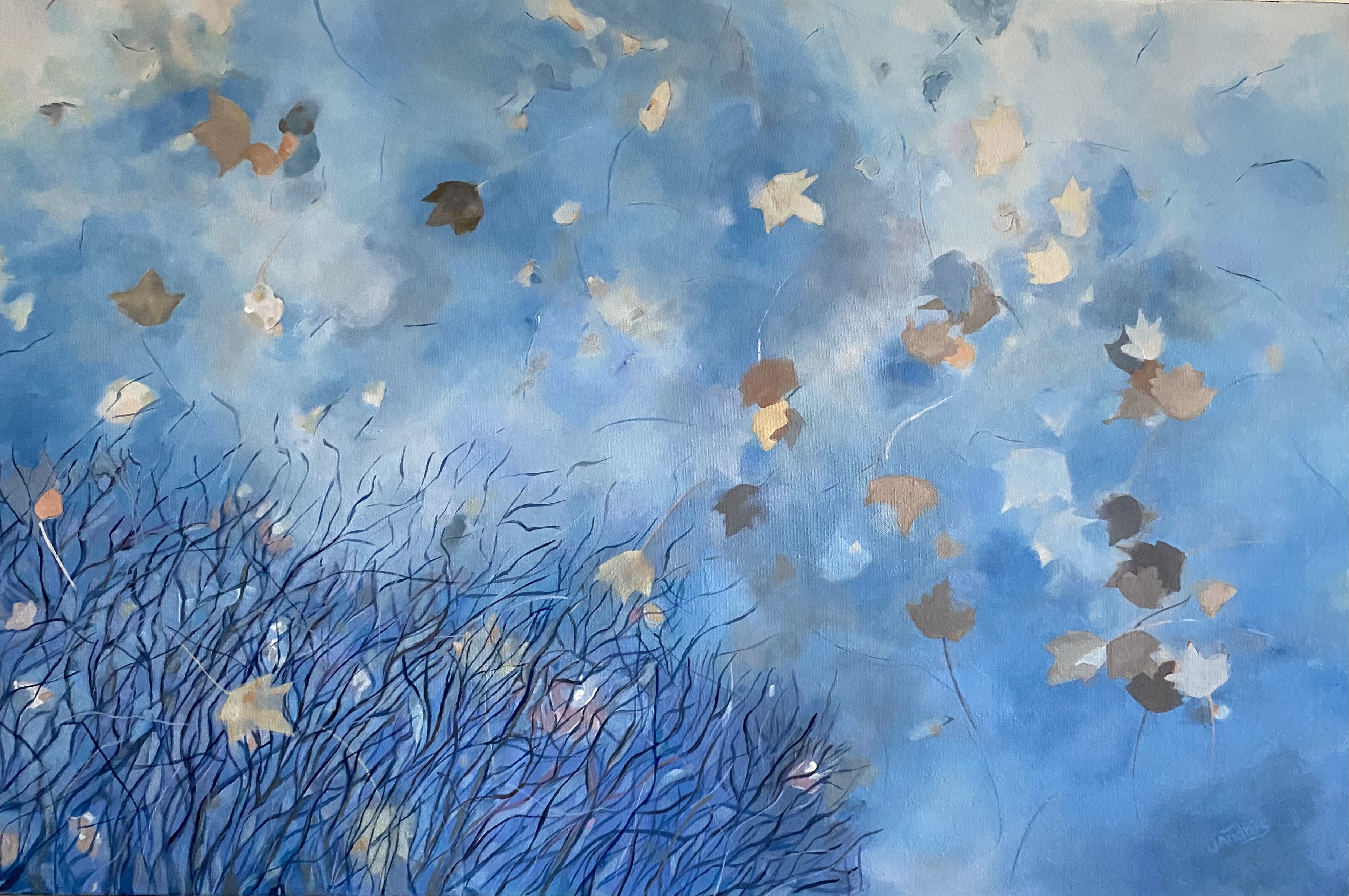 Maple leaves float in a puddle reflecting bare branches and a wispy blue sky